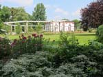 Palmengarten12