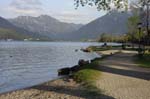 Wiessee_225